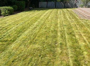 Wendi K.'s Lawn Mowing Service service result