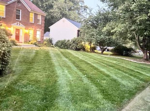 Mike S.'s Lawn Mowing service result