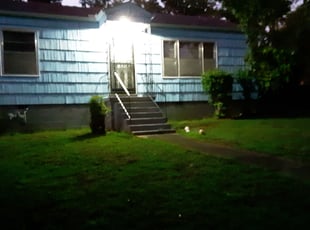Bush Trimming by Charles Rice for Don B. in Birmingham, AL