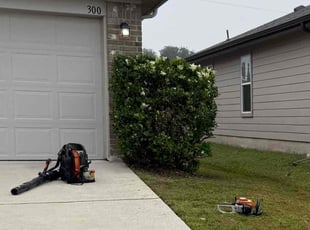 Bush Trimming by Alejandro Colchado for Linda S. in Hutto, TX