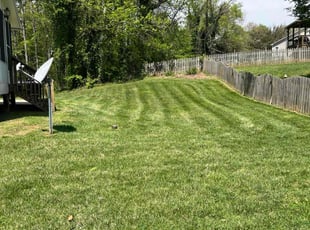 Rebecca B.'s Lawn Mowing service result