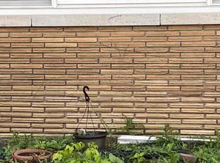 Bush Trimming by Isaiah Lopez for Mark S. in Chicago, IL