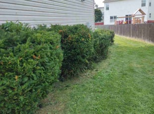 Bush Trimming by Phillip Whitt for Khalid A. in Blacklick, OH