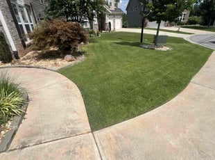 Johnny T.'s Lawn Mowing Service service result
