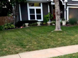 Dan H.'s Lawn Mowing Service service result