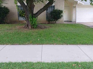 Stephen R.'s Lawn Mowing service result
