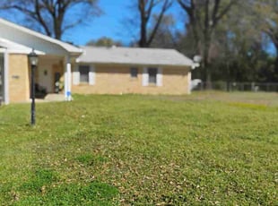 Cleanups by Amy Nicole Webb for Tederio F. in Longview, TX