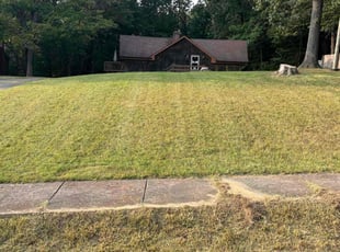 Matthew T.'s Lawn Mowing service result