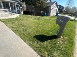 Craig H.'s Lawn Maintenance service result