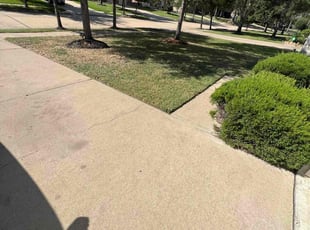 Joel R.'s Lawn Mowing Service service result