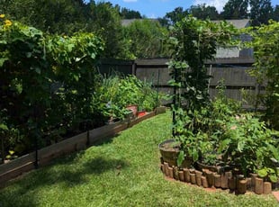Wayne S.'s Lawn Maintenance service result