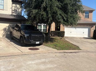 Bush Trimming by Chad Z Zibilski for David D. in Houston, TX