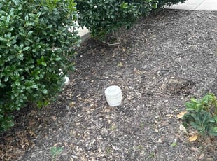 Weeding by Patrick Stewart for Siddarth S. in McKinney, TX