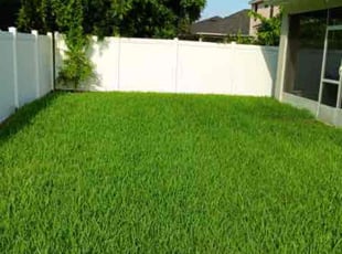 Charles D.'s Lawn Care service result