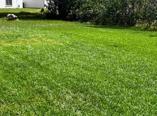 Linda K.'s Lawn Service service result