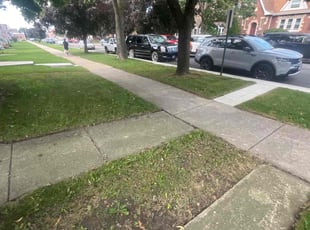 Theresa Diane O.'s Lawn Maintenance service result