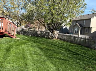 Zawadi T.'s Lawn Mowing Service service result