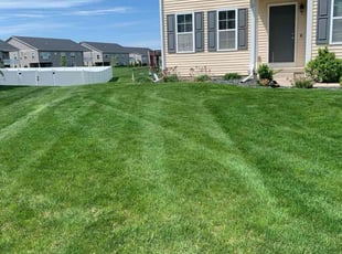 Jaden Y.'s Lawn Maintenance service result