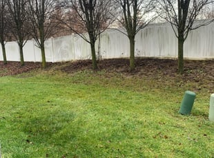Leaf Removal by Edgar Hernandez for Jimi Y. in Columbus, OH