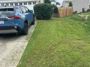 Bush Trimming by Joe Stasney for Frazier S. in Mount Holly, NC