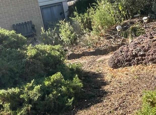 Leaf Removal by Eugenio PΓ©rez for Tonya W. in Aurora, CO