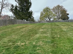 Sandra P.'s Lawn Service service result