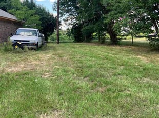 Cleanups by Gary & Jonathan Willis for Elston B. in Tyler, TX