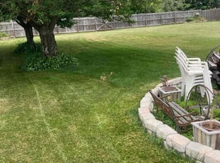 Craig S.'s Lawn Mowing Service service result