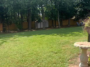 Dana K.'s Lawn Service service result