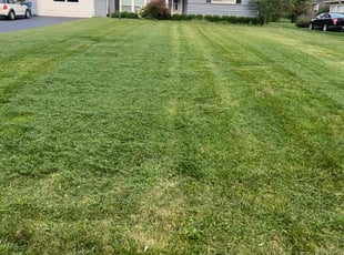 Susan D.'s Lawn Maintenance service result
