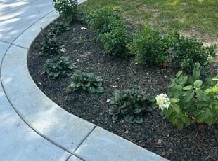Weeding by Landon Millett for Suzanne F. in Nashville, TN