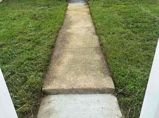 Lana T.'s Lawn Service service result