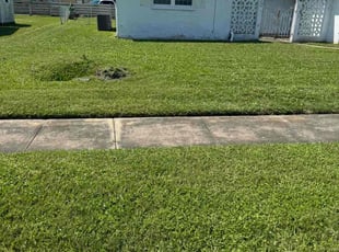 Beatriz P.'s Lawn Mowing service result