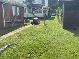 Estela F.'s Lawn Care service result