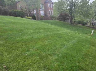 Rita A.'s Lawn Mowing service result