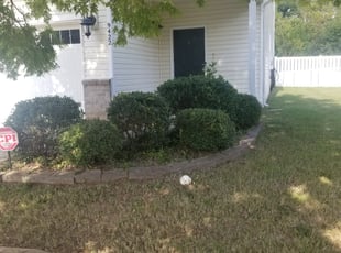 Bush Trimming by Christina duke for Aaron B. in Charlotte, NC