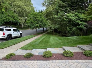 Shannun T.'s Lawn Mowing service result