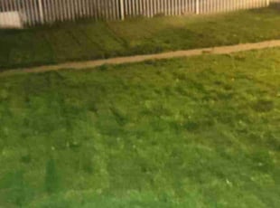 Lisa J.'s Lawn Care service result