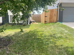 Abhijit B.'s Lawn Service service result