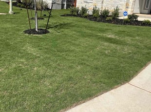 Derrick M.'s Grass Cutting service result