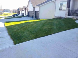 Mary C.'s Lawn Mowing Service service result