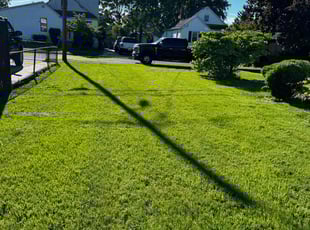 Razel C.'s Lawn Care service result
