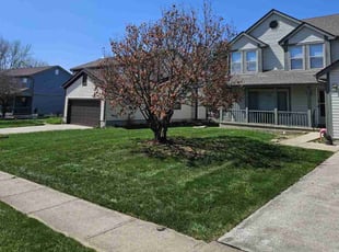 Anita T.'s Lawn Care service result