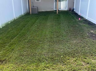 Omar C.'s Grass Cutting service result