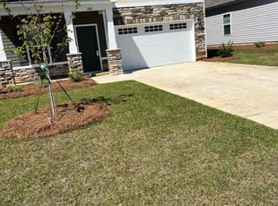 Patrick S.'s Lawn Mowing Service service result