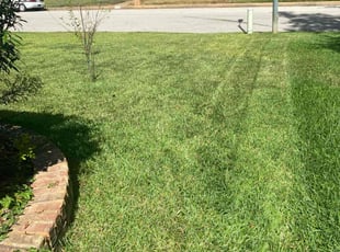 melissa g.'s Lawn Mowing service result