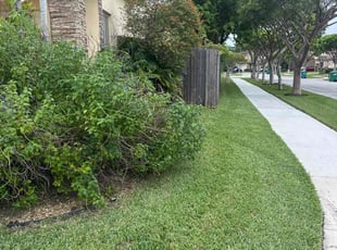 Billy j.'s Lawn Care service result