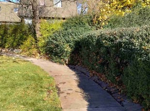 Leaf Removal by Joseph Schmidt for Ashruf S. in Milwaukee, WI