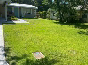 Sandra P.'s Lawn Service service result