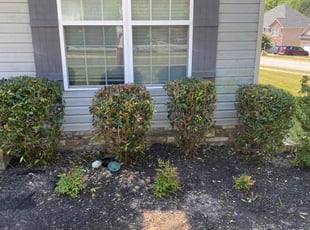 Bush Trimming by Richard Carpenter for April h. in Grovetown, GA